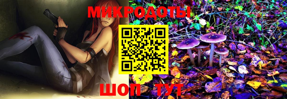 Псилоцибиновые грибы Psilocybine cubensis Карпинск