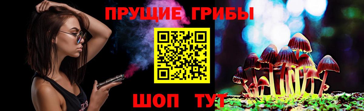 Карпинск  Псилоцибиновые грибы Cubensis  Вход с VPN  купить закладку  Галлюциногенные грибы прущие грибы 